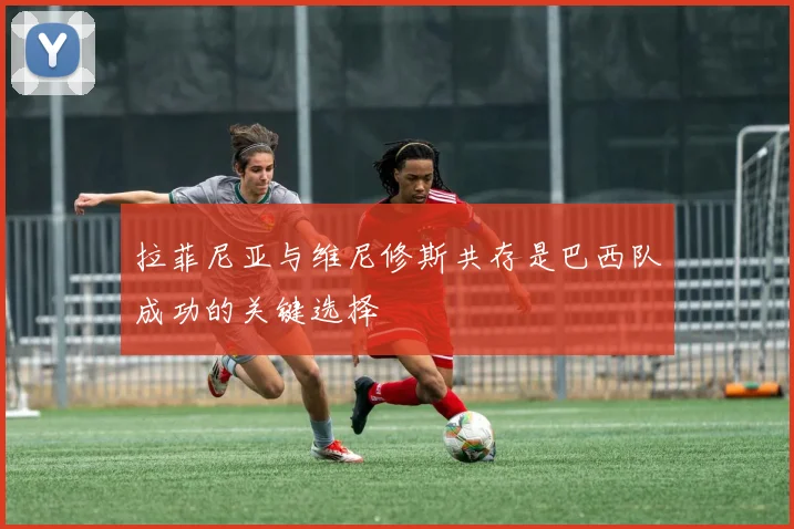 拉菲尼亚与维尼修斯共存是巴西队成功的关键选择